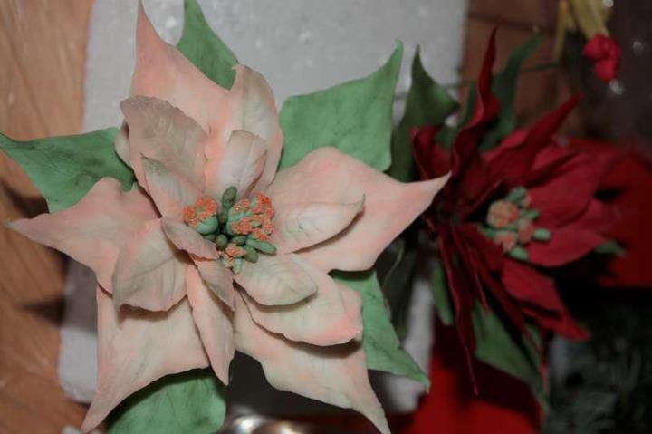 cukrarske stretko vrbove 25.11 005