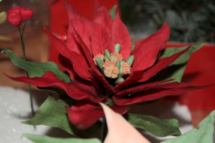 cukrarske stretko vrbove 25.11 006